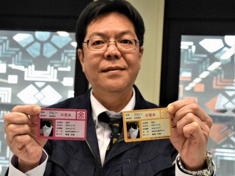 thẻ định danh mèo maya nyamber